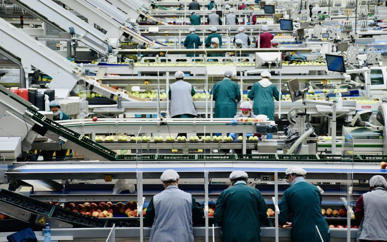 食品工場の製造ラインで作業する従業員(イメージ)